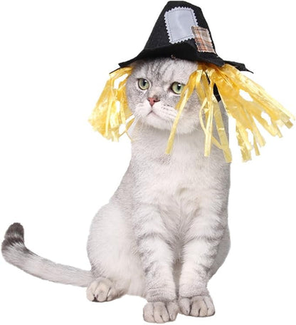 NAMSAN Halloween Pet Costume for Cats Small Dogs
