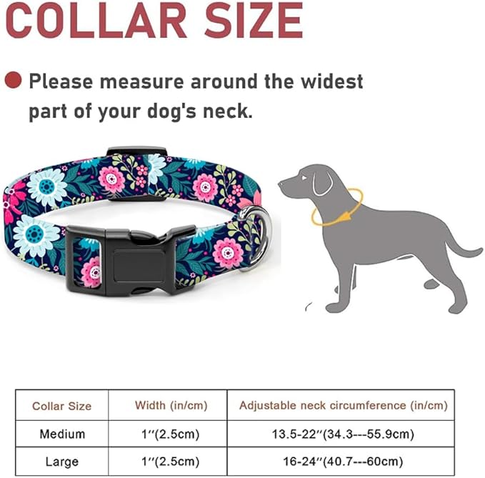 Dog Collar