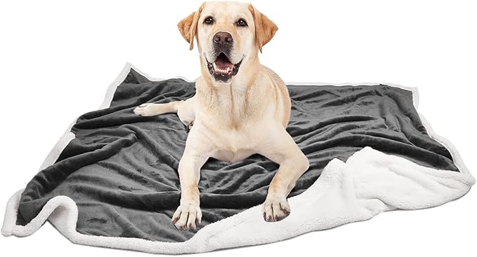Kritter Planet Grey Large Dog Blanket 50x60 inches