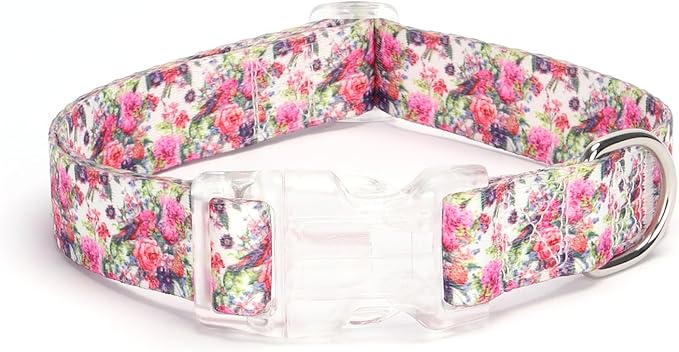 Dog Collar for Small Medium Large Dogs