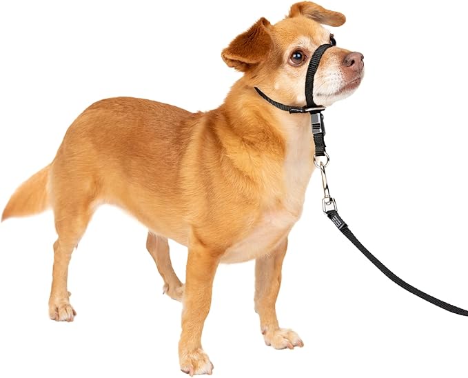 PetSafe Gentle Leader No-Pull Dog Headcollar