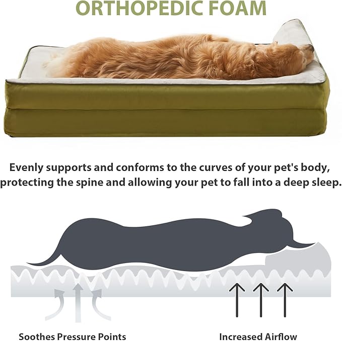 Orthopedic Dog Beds for Extra Large Dogs