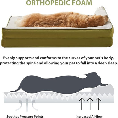 Orthopedic Dog Beds for Large Dogs