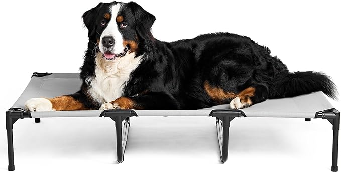 EHEYCIGA 50 Inch Elevated Dog Cot Beds for Extra Large Dogs