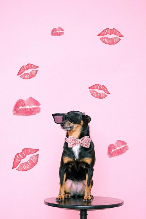 Unqiue Style Paws Valentine's Dog Collar