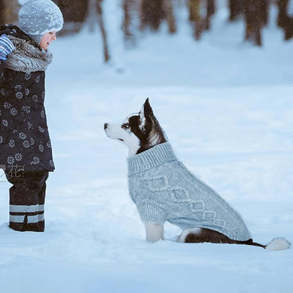 XL Dog Sweater