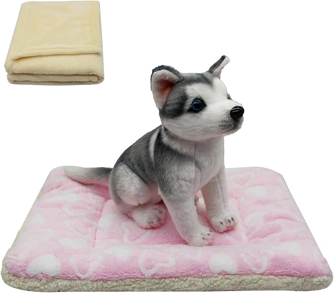 Cat Dog Bed Mat & Blanket