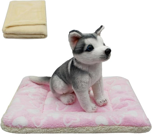 Cat Dog Bed Mat & Blanket