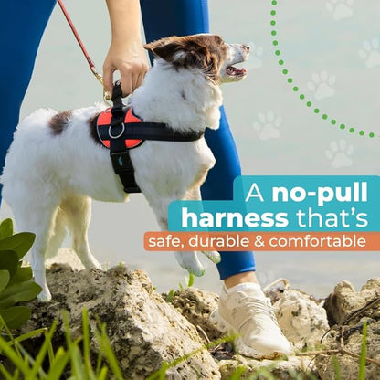 Joyride Harness 2.0 - The Original Side Ring No Pull Dog Harness - No Choke, Escape Proof, Reflective, 3 Leash Clips, Quick Fit Pet Vest - Easy Walks & Training - for Small, Medium & Large Dogs