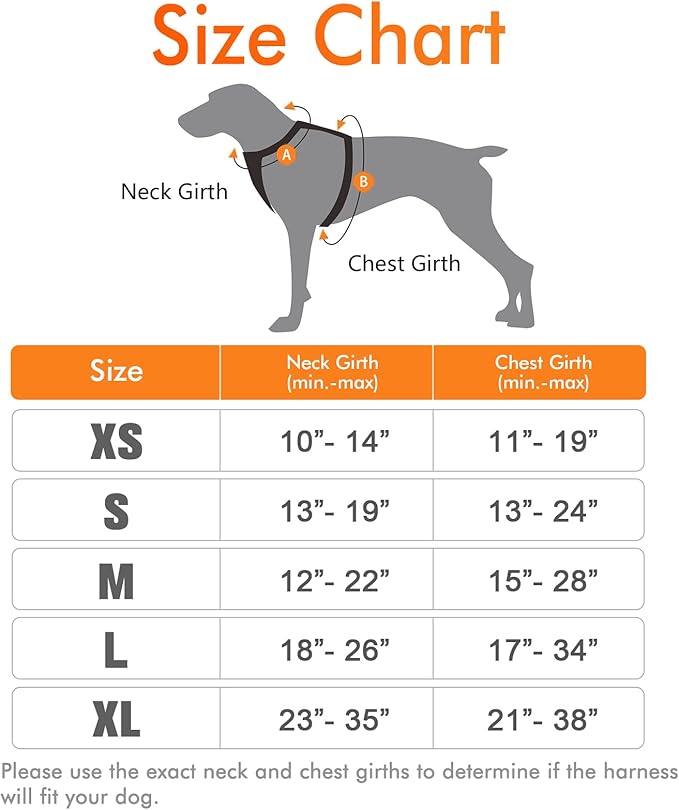 rabbitgoo Dog Harness, No-Pull Pet Harness with 2 Leash Clips, Adjustable Soft Padded Dog Vest, Reflective No-Choke Pet Oxford Vest with Easy Control Handle for Small Dogs, Orange,XS