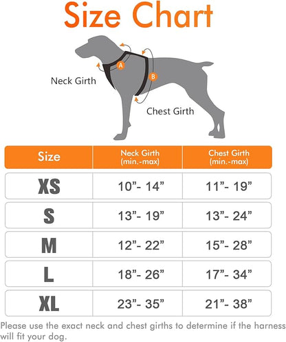 rabbitgoo Dog Harness, No-Pull Pet Harness with 2 Leash Clips, Adjustable Soft Padded Dog Vest, Reflective No-Choke Pet Oxford Vest with Easy Control Handle for Small Dogs, Orange,XS