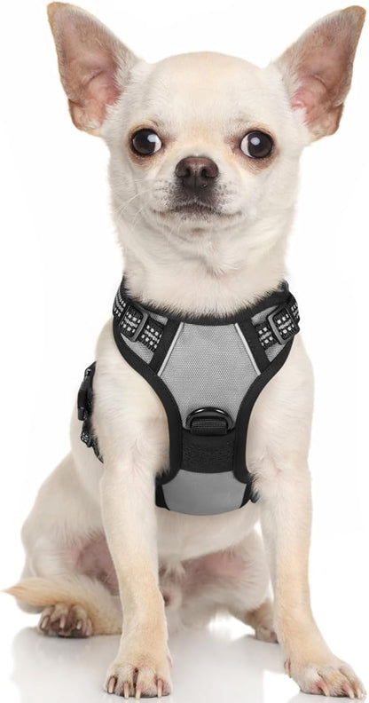 rabbitgoo Dog Harness, No-Pull Pet Harness with 2 Leash Clips, Adjustable Soft Padded Dog Vest, Reflective No-Choke Pet Oxford Vest with Easy Control Handle for Small Dogs, Grey, XS