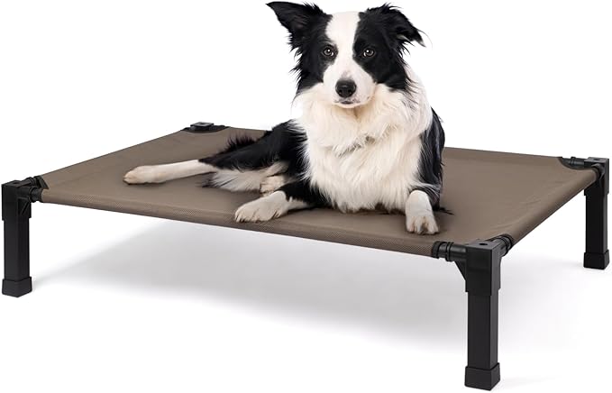 Cooling Elevated Dog Bed