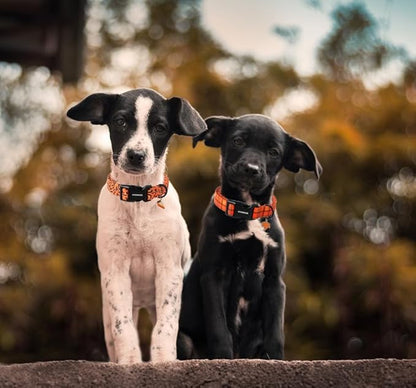 DOGWONG Fall Orange Plaid Dog Collar- Cute Designer