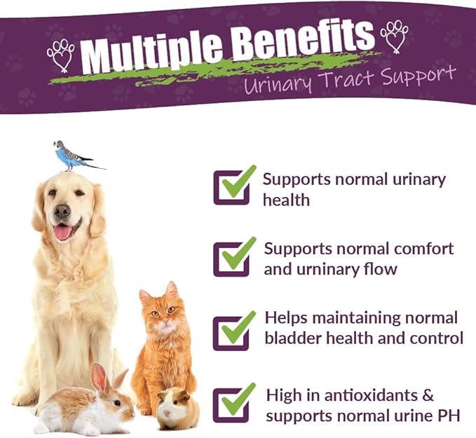 AMBER NATURALZ UTR Urinary Tract Herbal Supplement for Dogs, Cats, Birds, Guinea Pigs, and Rabbits | Pet Herbal Supplement for Bladder Support | 4 Fluid Ounce Glass Bottle | Manufactured in The USA