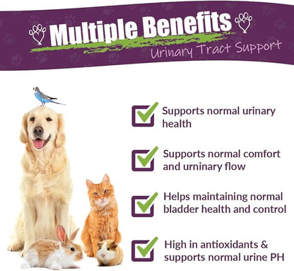 AMBER NATURALZ UTR Urinary Tract Herbal Supplement for Dogs, Cats, Birds, Guinea Pigs, and Rabbits | Pet Herbal Supplement for Bladder Support | 4 Fluid Ounce Glass Bottle | Manufactured in The USA