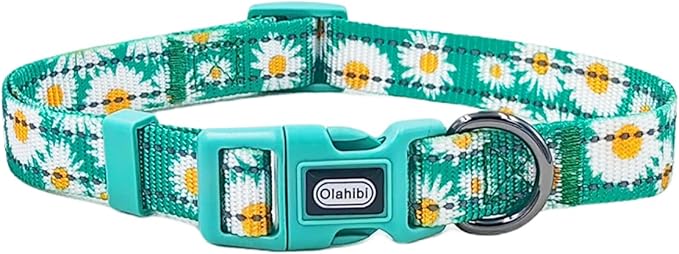 Floral Pattern Dog Collar