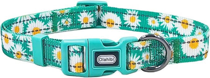 Floral Pattern Dog Collar