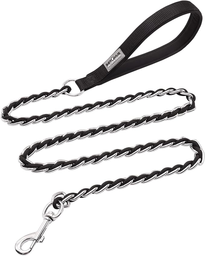 Chew Proof Metal Leash Chain Dog Leash for Medium Large Dogs 4FT Strong