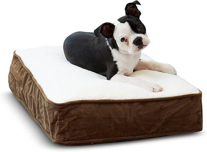South Pine Porch Buddy Rectangle Pillow Style Dog Bed (24" x 18")