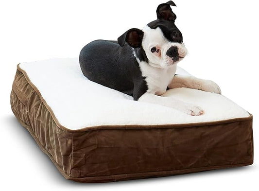 South Pine Porch Buddy Rectangle Pillow Style Dog Bed (24" x 18")