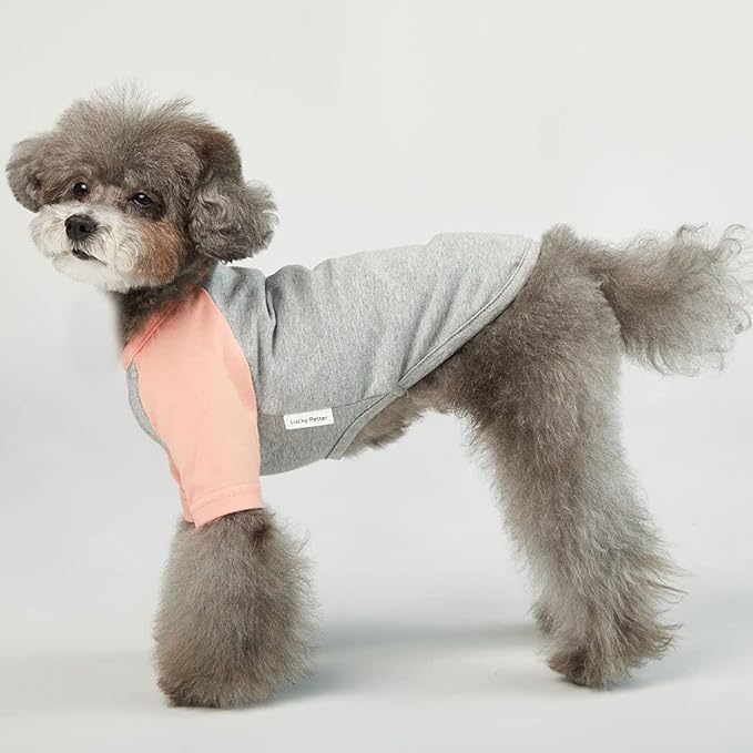 Dog Shirt for Small and Large Dogs Raglan Cotton T-Shirts Soft Breathable Dog Shirts pet Clothes Gray Series (Medium