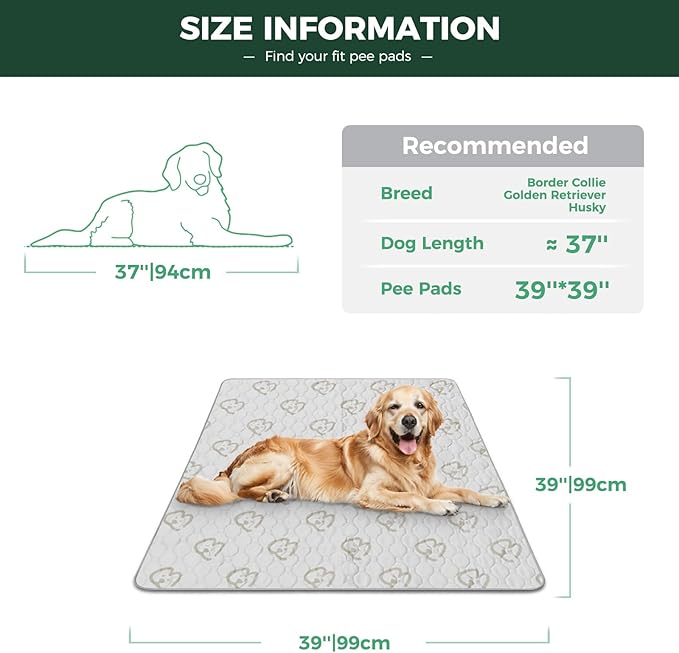 FXW Washable Pee Pads for Dogs 39" x 39", Specifically