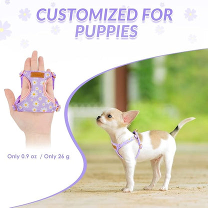 SlowTon No Pull Dog Harness with Leash - Soft Lightweight Floral Pattern Puppy Harness, Adjustable Pet Harness for Small Medium Dogs Doggie (Purple XXS)