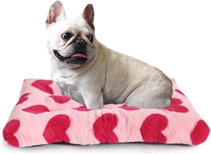 Small Washable Dog Bed Deluxe Plush Dog Crate Beds with Zipper fit Small Breed Pets 24 inch Plush,24 x 18 Pink