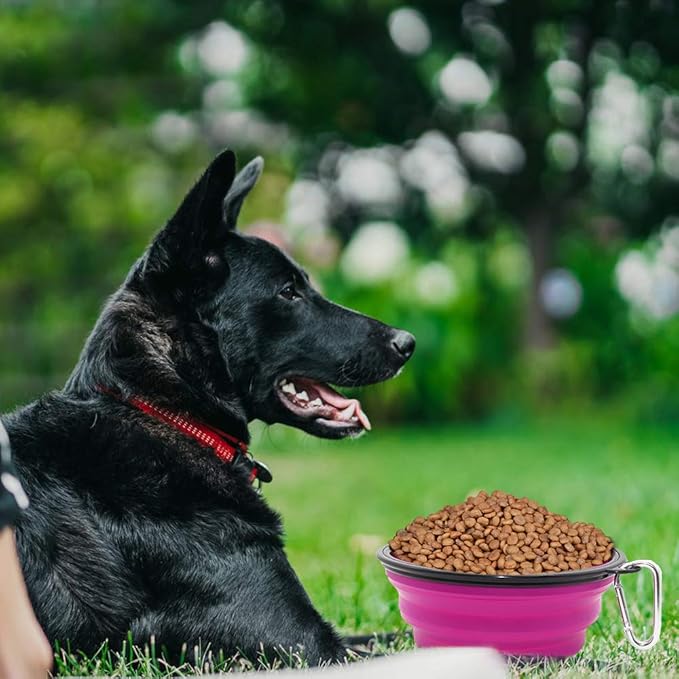 Dog Bowl Pet Collapsible Bowls, 2 Pack Collapsible Dog Water Bowls for Cats Dogs, Portable Pet Feeding Watering Dish for Walking Parking Traveling with 2 Carabiners (Large, Green+Purple)