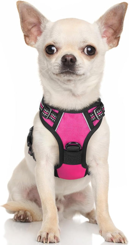 rabbitgoo Dog Harness, No-Pull Pet Harness with 2 Leash Clips, Adjustable Soft Padded Dog Vest, Reflective No-Choke Pet Oxford Vest with Easy Control Handle for Small Dogs, Hot Pink, XS