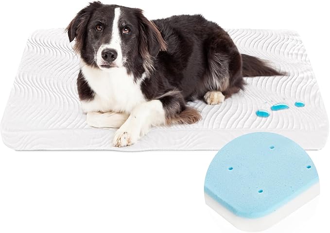 Waterproof Dog Beds for Large Dogs with Washable Removable Cover(38"X26"), Orthopedic Memory Foam Dog Bed with Anti-Slip Bottom