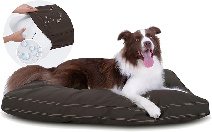 Miguel Durable Canvas Dog Bed 12 Ounce 100% Cotton 40 x 30 inch,