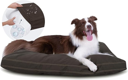 Miguel Durable Canvas Dog Bed 12 Ounce 100% Cotton 40 x 30 inch,