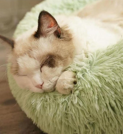 Geizire Cat Bed Dog Bed for Cats