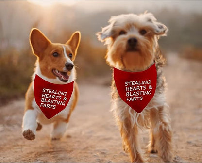 JXGZSO 1 Piece Free Kisses/Will You Be My