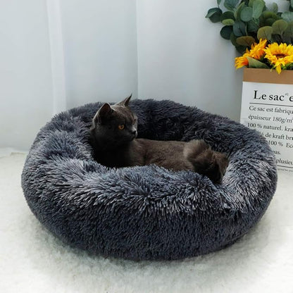 otoez Kitten Puppy Bed Extra Small XS Round Dog Cat Beds Anti Anxiety Plush Pet Calming Donut Bed with Non-Slip Waterproof Bottom (15.7", Dark
