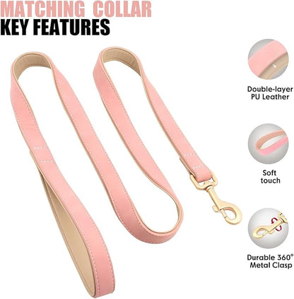 Beirui Soft Padded Leather Dog Collar and Leash Set 4FT Leather