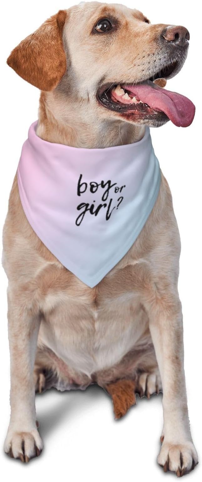 He Or She What Will It Be? Gender Reveal/Baby Announcement Dog Bandana,Pet Neckerchief for Pets Daily Wear Photo Prop Party Supplies (Gradient)