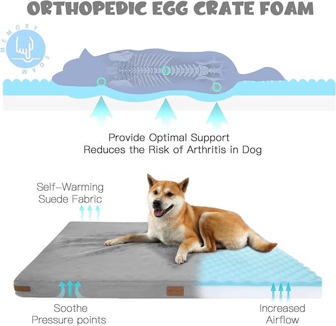 Himax Orthopedic Dog Bed for Large Dogs