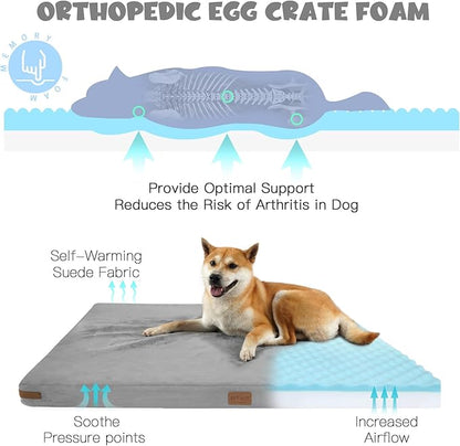 Himax Orthopedic Dog Bed for Large Dogs