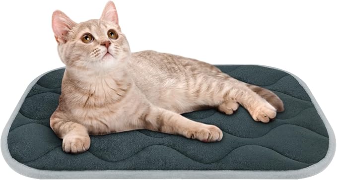 furrybaby Dog Bed Mat Flat Crate Mat with Anti-Slip Bottom Machine Washable Pet Kennel Pad for Dog Sleeping (XS 22x13''