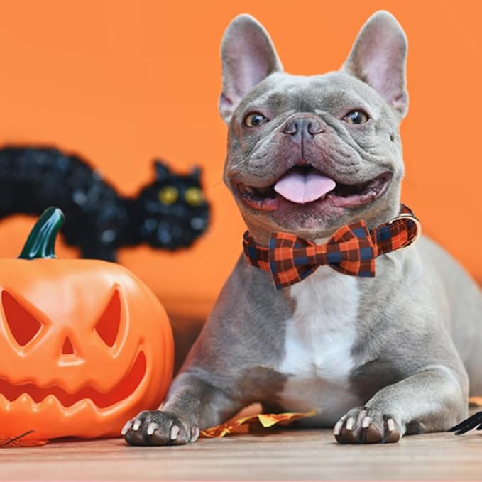 Christmas Day Dog Bandana Red Green Plaid Cotton