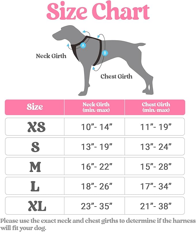 rabbitgoo Dog Harness, No-Pull Pet Harness with 2 Leash Clips, Adjustable Soft Padded Dog Vest, Reflective No-Choke Pet Oxford Vest with Easy Control Handle for Large Dogs, Pink & Blue, X-Small