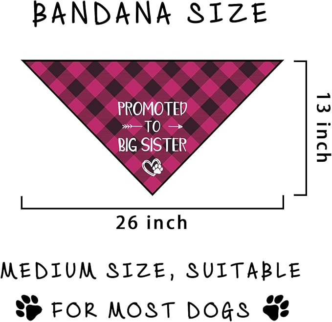 Promoted to Big Sister Dog Bandana Gender Reveal