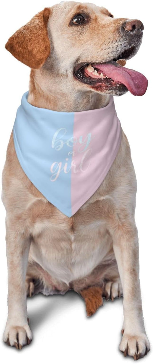 He Or She What Will It Be? Gender Reveal/Baby Announcement Dog Bandana,Pet Neckerchief for Pets Daily Wear Photo Prop Party Supplies (Sequins)