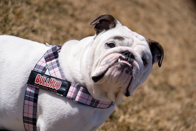 BULLHUG Harness – Made for Larger Chested Dogs Like English Bulldogs
