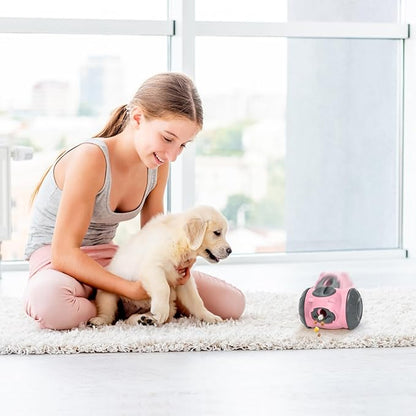 Treat Dispensing Dog Toys