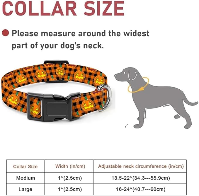 Dog Collar