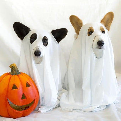 Halloween Ghost Dog Costume Dog White Costumes Ghost Costumes for Dogs Cats with Ear Opened Halloween Dog Cosplay Costume Halloween Trick or Treat Party Cosplay for Dog